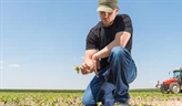 New Weed Scouting Tool Helps Midwest Farmers Fight Resistance