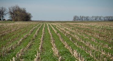 Learn Organic Farming at South Dakota Field Day