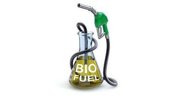 Corn to Fuel Drives U.S. Economy