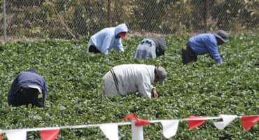 Indiana farmers face dry weather