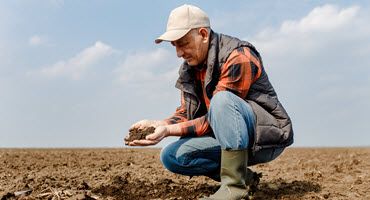 Indiana Ag Groups Back Rollins for Ag Secretary