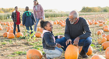 Easy Pumpkins for Home Garden Fun