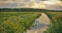 Tracking Water and Nitrogen Use in Farming
