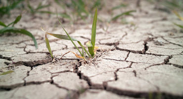 Missouri Farmers Face Challenges Amid Ongoing Drought